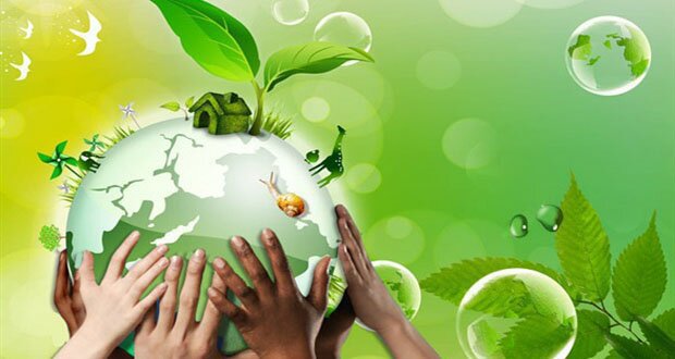 poster presentation on environmental awareness